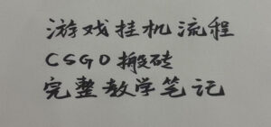 游戏挂机全流程笔记分享,CSGO游戏搬砖,小白看了当天学会见收益-宝藏屋创业网