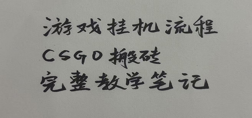 游戏挂机全流程笔记分享，CSGO游戏搬砖，小白看了当天学会见收益-宝藏屋创业网