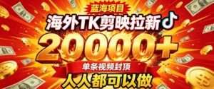 海外TK拉新最新玩法,剪映就能做,不用经验不用粉丝,单条视频收益上限2W+-宝藏屋创业网