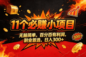 （20433期）9个必赚的小项目，无脑简单，百分百赚米的，副业首选，日收300-宝藏屋创业网