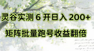 一台电脑就能做！灵谷实测6开日入200+，矩阵批量跑号收益翻倍【揭秘】-宝藏屋创业网