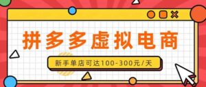 (20251期)单店日均500+的拼多多虚拟店,新人轻松上手,长久稳定利润乐观的副业项目-宝藏屋创业网