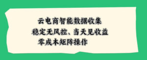 云电商智能数据收集,稳定无风控,当天做当天见收益,零成本矩阵操作【揭秘】-宝藏屋创业网