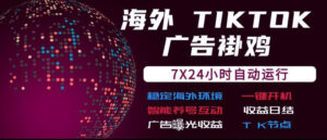 海外TikTok挂G流量变现,7X24自动运行,广告曝光收益,收益日结【揭秘】-宝藏屋创业网