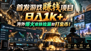 首发游戏賺钱项目,日入1k+,海外爆火皮肤捡漏和打金币!【揭秘】-宝藏屋创业网