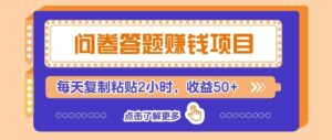 零成本零门槛！问卷赚钱实操攻略，新手小白也能操作，每天复制粘贴2小时，收益50+-宝藏屋创业网
