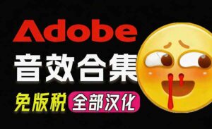 (20294期)请称爆硬盘!Adobe 和 达芬奇 官方提供的高品质免版税音效库, 10000+ 免费商用音效合集,已离线打包-宝藏屋创业网