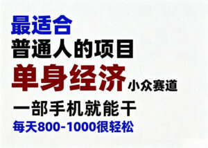 身经济小众赛道，一部手机就能干，每天搞个800-1000很轻松，最适合普通人的项目【揭秘】-宝藏屋创业网