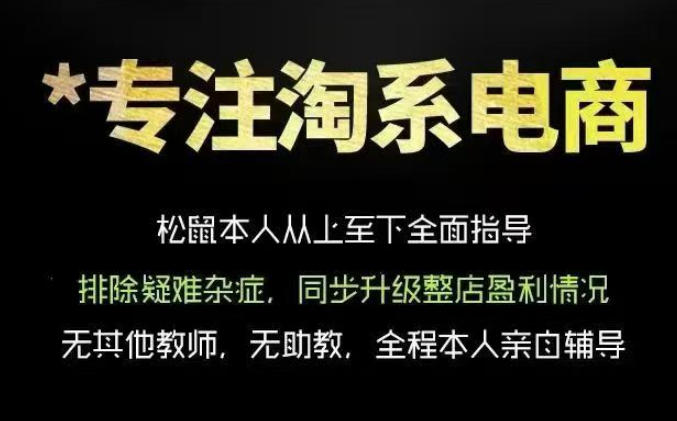 松鼠会电商VIP课程，从基础布局到高阶优化，助你掌握淘宝运营逻辑，提升店铺流量与转化（更新0901）-宝藏屋创业网