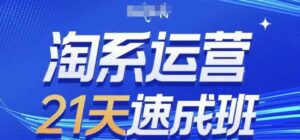 淘系运营21天速成班，0基础轻松搞定淘系运营，不做假把式，快速复制落地(更新26年9月)-宝藏屋创业网
