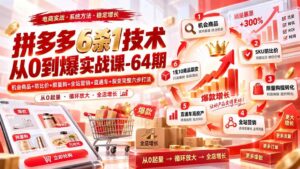 (20315期)拼多多6杀1技术从0到爆实战课-64期:机会商品+防比价+限量购+全站营销+直通车+裂变完整六步打法-宝藏屋创业网