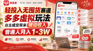 轻投入无囤货赛道，多多虚拟玩法自主成交带来被动收入，普通人月入1-3W-宝藏屋创业网