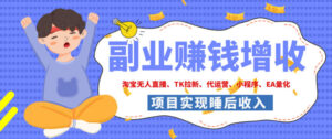 2026年多个真实落地副业项目,手把手带你搭建被动收入管道(淘宝无人直播、海外TK拉新、最新最全代运营、CSGO饰品交易、EA黄金量化、去水印小程序……)【揭秘】-宝藏屋创业网