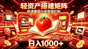 轻资产搭建矩阵,吃透番茄小说变现红利,日入1000+,支持无限矩阵放大【揭秘】-宝藏屋创业网