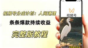 视频号新玩法之AI动漫画风励志视频，不用会画画、不用拍摄，持续化收益，详细拆解-宝藏屋创业网