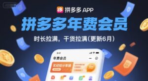 拼多多年费会员，实经验分享操，时长拉满，干货拉满(更新260903）-宝藏屋创业网
