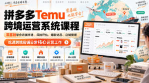 Temu跨境拼多多运营系统课程,零基础学会店铺搭建、风险评估、爆款选品、店铺管理,吃透跨境店铺日常核心运营工作-宝藏屋创业网