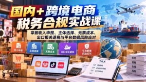 （20686期）国内+跨境电商税务合规实战课：掌握收入申报、主体选择、无票成本、出口报关退税与平台数据风险应对-宝藏屋创业网
