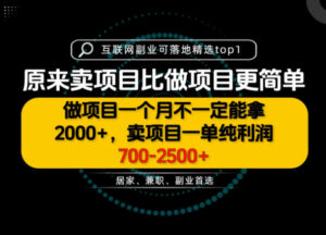 一单利润700-2.5K+,为什么我们要卖项目而不是做项目,我们普通人应该怎样开始?【揭秘】-宝藏屋创业网