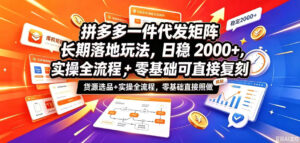 拼多多一件代发矩阵长期落地玩法,日稳入2k+,选品货源+实操全流程,零基础可直接复刻【拆解】-宝藏屋创业网