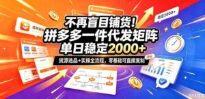 （20955期）不再盲目铺货！拼多多一件代发矩阵落地攻略，提供优质货源店铺运营全流程，零基础可直接复制-宝藏屋创业网