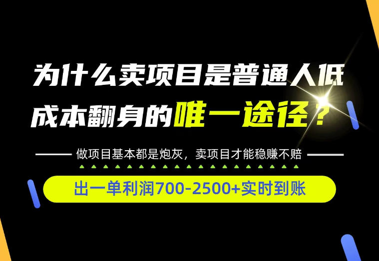 普通人如何靠互联网賺取自己的第一桶金！全类目实操型教学，看完你全都懂了！【揭秘】-宝藏屋创业网