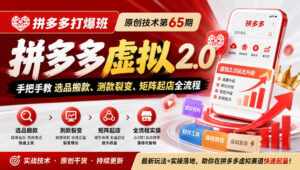 《拼多多打爆班》原创技术第65期,拼多多虚拟2.0,手把手教选品搬款、测款裂变、矩阵起店全流程-宝藏屋创业网