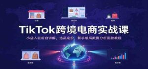 TikTok跨境电商实战课：小店入驻后台讲解，选品定价，新手破局数据分析回款教程-宝藏屋创业网
