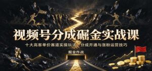 视频号分成掘金实战课:十大高客单价赛道实操玩法,分成开通与涨粉运营技巧-宝藏屋创业网