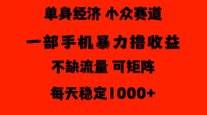 26年暴力单身经济，稳定日入500-1k，不缺流量，流量极大，冷门小众赛道，门槛低小白轻松上手【揭秘】-宝藏屋创业网