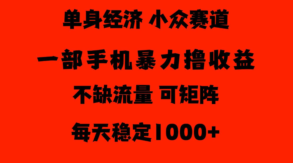 26年暴力单身经济，稳定日入500-1k，不缺流量，流量极大，冷门小众赛道，门槛低小白轻松上手【揭秘】-宝藏屋创业网