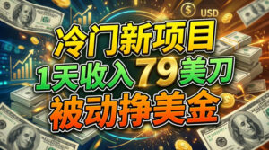 冷门新项目，1天收入79刀，被动挣美刀-宝藏屋创业网