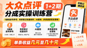 大众点评分成实操训练营1+2期|0基础起号养号、有奖笔记批量创作、AI提效、多渠道变现全落地,单条收益几元至几十元-宝藏屋创业网