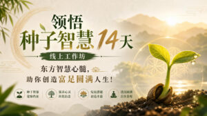 鹿大米领悟种子智慧14天线上工作坊,东方智慧心髓,助你创造富足圆满人生!-宝藏屋创业网