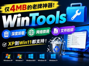 仅4MB的老牌神器！WinTools深度卸载+网络微调+文件粉碎，XP到Win11都支持！-宝藏屋创业网
