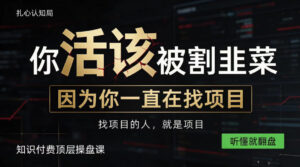 做项目不如卖项目,做知识付费自己当老板,知识付费顶层操盘课,听懂就翻盘【揭秘】-宝藏屋创业网