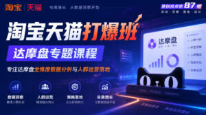 《淘宝天猫打爆班》原创技术第87期，达摩盘专题课程，专注达摩盘全维度数据分析与人群运营落地-宝藏屋创业网