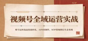 视频号全域运营实战:账号运转选品投流转化,AI内容制作,SOP落地微信生态变现-宝藏屋创业网