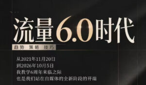 流量6.0时代直播课2026年10月，流量6.0时代的趋势、策略、技巧，2027年前，你的IP能否做起来，本场直播就是你的转折点（更新1012）-宝藏屋创业网