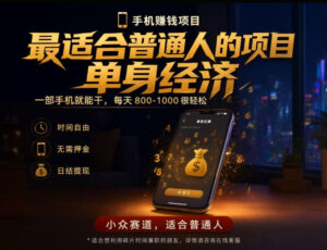 单身经济小众赛道,每天800-1000,一部手机就能干,最适合普通人的项目【揭秘】-宝藏屋创业网