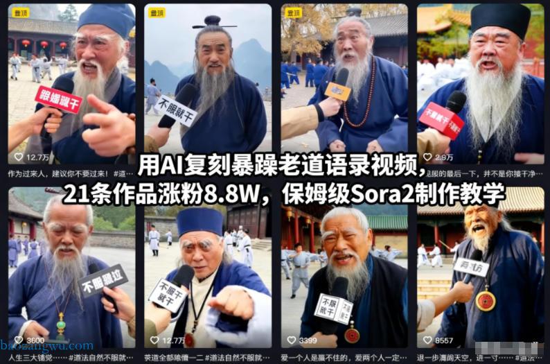 Sora2 制作暴躁老道语录视频 保姆级教学 21 条作品涨粉 8.8W 技巧-宝藏屋创业网